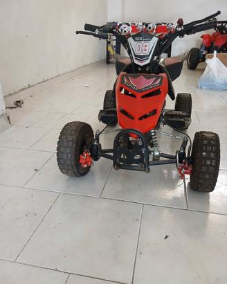 Miniquad Raptor 50