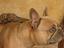 Immagine 2