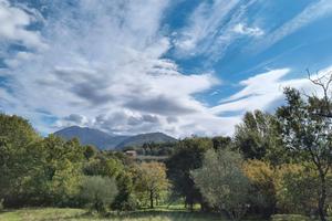 Terreno Agricolo a Località Parete