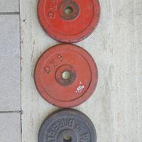 dischi palestra 