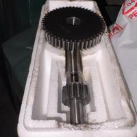 Ingranaggi primari malossi 14