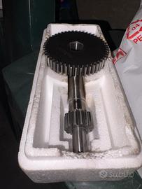 Ingranaggi primari malossi 14