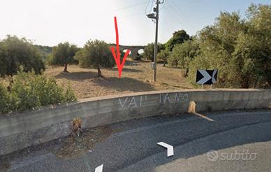 Terreno agricolo con uliveto a 1km da Avola