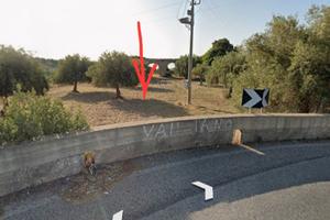 Terreno agricolo con uliveto a 1km da Avola