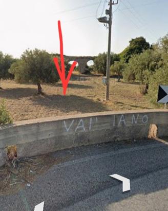 Terreno agricolo con uliveto a 1km da Avola