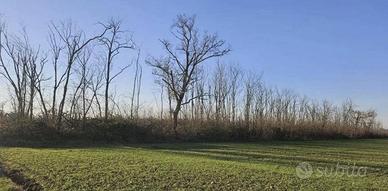 Immobile in asta di 54095 m² a Dairago