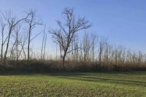 Immobile in asta di 54095 m² a Dairago