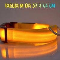 Collare per Cani in nylon con LED Giallo ⭐ Nuovo ⭐
