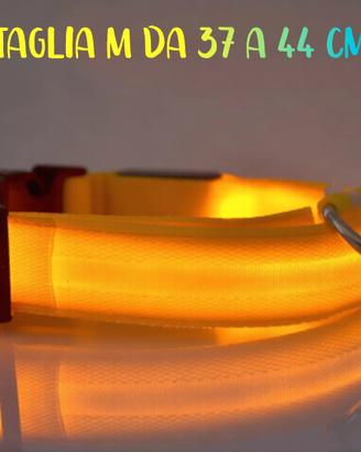 Collare per Cani in nylon con LED Giallo ⭐ Nuovo ⭐
