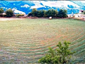 Terreno edificabile mq 6.380 a Campodipietra (CB)