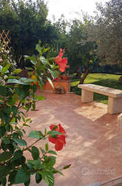 Grazioso bilocale San Teodoro