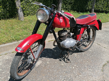 Cimatti 125