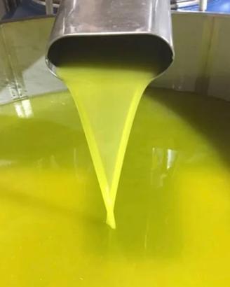 Olio dicembre 2024