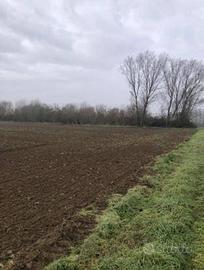 Immobile in asta di 55000 m² a Chignolo Po