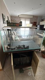 Acquario