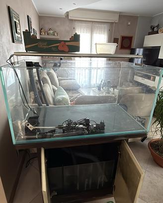 Acquario