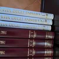 Enciclopedia MOTTA