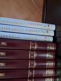 Enciclopedia MOTTA