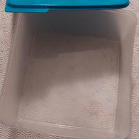 Contenitore da frigo