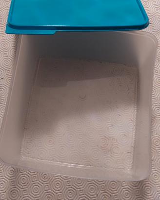 Contenitore da frigo