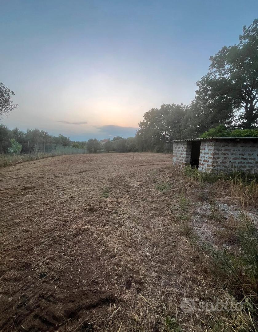 Terreno agricolo - Vista 2