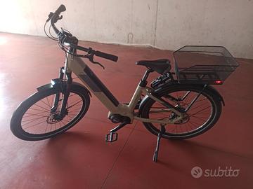 bicicletta elettrica