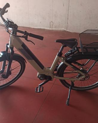 bicicletta elettrica