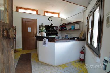 Vendita pensione per cani e gatti