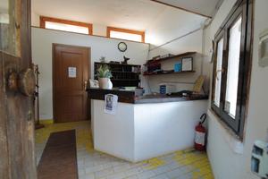 Vendita pensione per cani e gatti