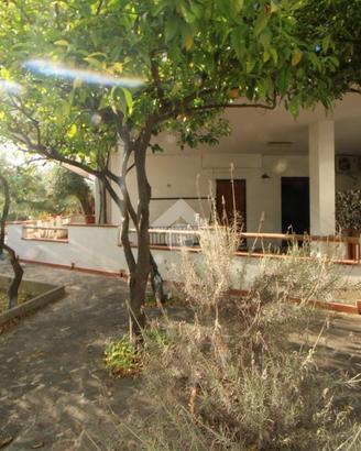 VILLA A SCHIERA A CENTOLA