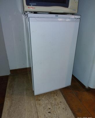 congelatore BEKO FS166020 65 litri