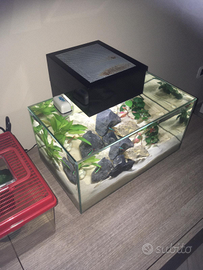 Acquario askoll fluval edge 23