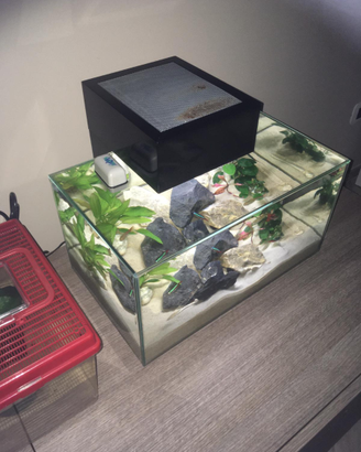 Acquario askoll fluval edge 23