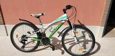 biciletta da adolescente ragazzo e ragazza.