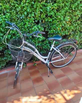 bicicletta bianca