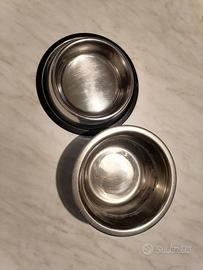accessori cagnolino