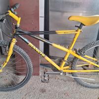 Bicicletta Bianchi