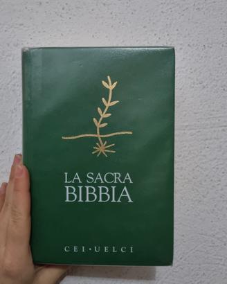 Cei Uelci