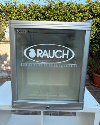 Mini frigo vetrina Rauch 46L – Gastro-Cool