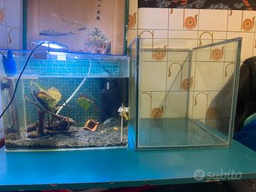 Acquari da 30Litri
