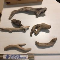 Oggetti da arredare o da inserire nella casa