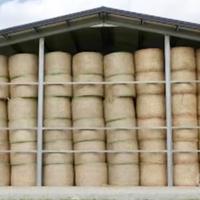 Foraggio e paglia di grano e di orzo