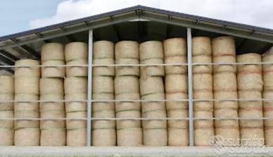 Foraggio e paglia di grano e di orzo