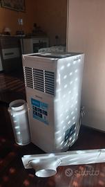 Climatizzatore Olimpia Splendid Dolceclima  Slim 8