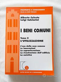 I Beni Comuni Alberto Celeste Luigi Salci Giuffrè