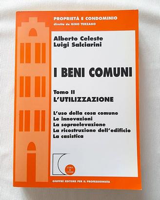 I Beni Comuni Alberto Celeste Luigi Salci Giuffrè