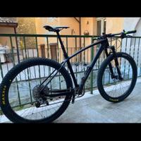 Mountain bike custom carbon