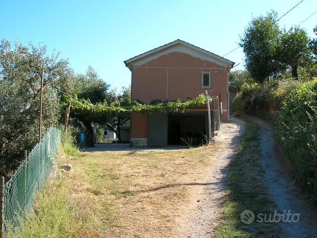 Casa bifamiliare con uliveto annesso
 in vendita a Nocera Terinese
