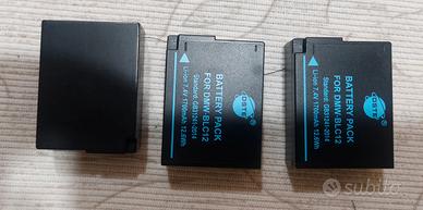 Batteria videocamera