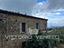 Immagine 16